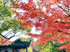 -惠山古镇·寄畅园