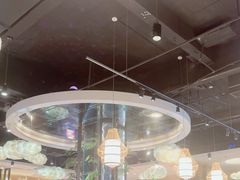 -龙泉人椰子鸡(龙昆南店)