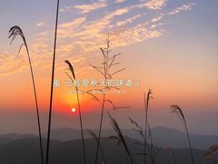 -东白山