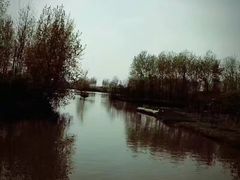 -溱湖国家湿地公园