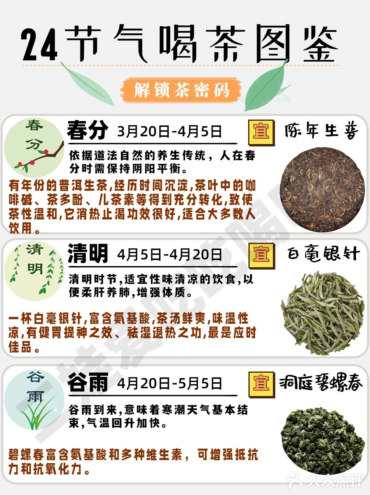 24节气喝茶图鉴🍃解锁茶密码
