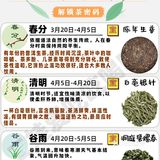 24节气喝茶图鉴🍃解锁茶密码