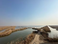 -盐城丹顶鹤湿地生态旅游区