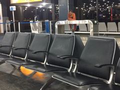 -纽瓦克自由国际机场