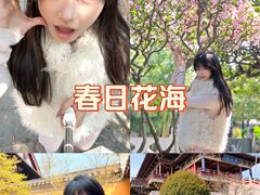 -凤城河风景区
