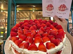 -O'eat Blossom&Pelican(深圳首店)
