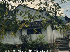 -石台牯牛降景区