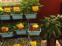自助取餐区-金彤川菜(西稍门店)