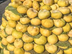 -新疆国际大巴扎