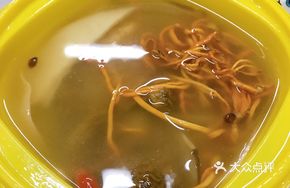 Songrong Cordyceps Chicken Soup