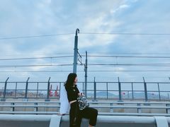-海堤纪念公园