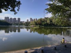 -重庆彩云湖湿地公园