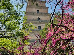-大慈恩寺(大雁塔)