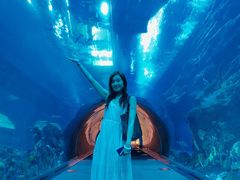 -迪拜水族馆及水下动物园