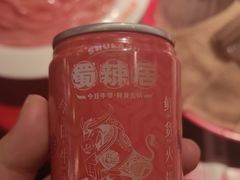 -蜀辣居鲜货老火锅(红牌楼店)