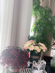 -后宫·古装汉服京剧儿童亲子全家福摄影