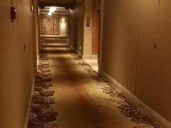 -珠海横琴长隆《卡卡虎奇遇记》