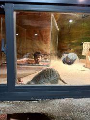 -酷嗒动物文化乐园(cutezoo西溪乐天城店)