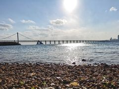 -星海湾跨海大桥