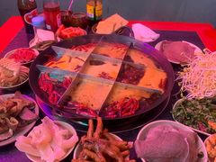 -肥龙火锅(南坪店)