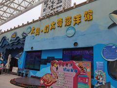 -太奥幻太奇海洋馆