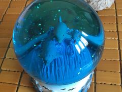 -北戴河圣蓝海洋公园