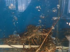 -芽庄老成都川菜馆