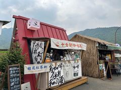 -龙坞茶村