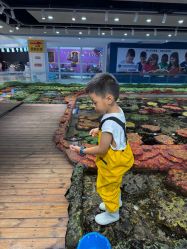 -钓虾工场·钓虾·赶海(回龙观店)