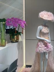 -MuseMarry婚纱(前海嘉里中心店)