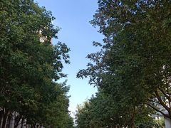 -人民防洪胜利纪念塔