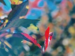 -李叔同故居纪念馆
