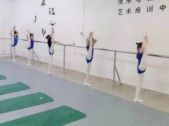 -快乐琴弦音乐舞蹈艺术教育中心(马连道校区)