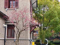 -思南公馆商业街