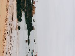 -枸杞岛