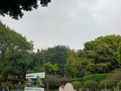 -重庆平顶山公园