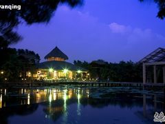对岸夜景-茂德公草堂