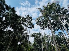 -中国科学院西双版纳热带植物园