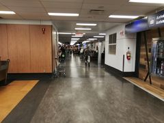 -蒙特利尔皮埃尔·埃利奥特·特鲁多国际机场