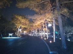 -钓鱼台国宾馆