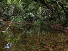 -海南热带雨林国家公园吊罗山景区