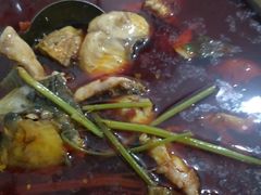 -重庆特色冷锅鱼(武大店)