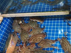 -威海渔村(黄兴路店)