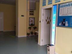 -瑞鹏宠物医院·爱宠堂·骨外专科(西荷分院)