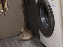 -和谐商务酒店(上海南站店)