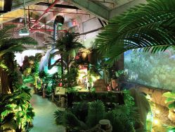 -恐龙探索乐园(磁器口店)