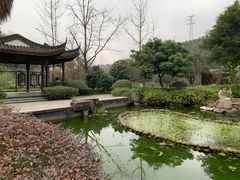 -重庆园博园