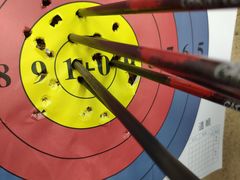 -道顺射箭·团建·骑射(张杨路店)