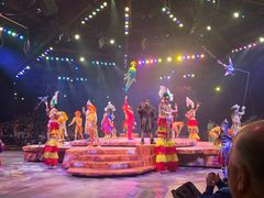 -奥兰多迪士尼动物王国乐园