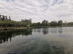 -四海公园(南山区)